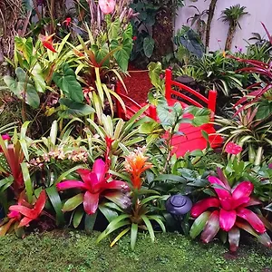 Paradise At Anthurium Hale Homestay Hilo